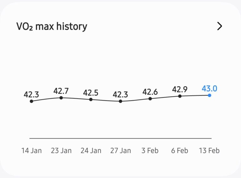 How to Get VO2 Max Trend on a Galaxy Watch