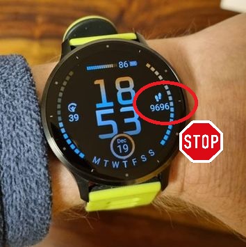 How to disable Step Counting on a Garmin Watch